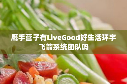 鹰手营子有LiveGood好生活环宇飞箭系统团队吗