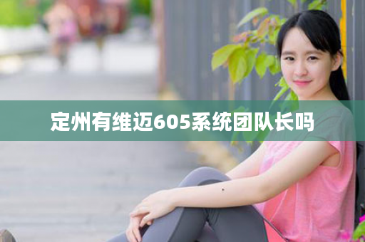 定州有维迈605系统团队长吗