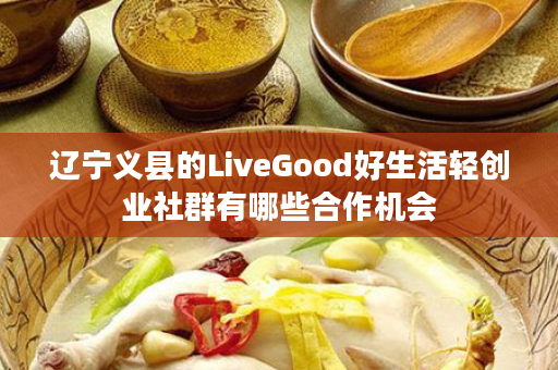 辽宁义县的LiveGood好生活轻创业社群有哪些合作机会