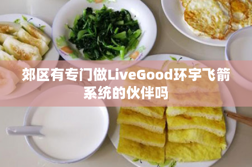 郊区有专门做LiveGood环宇飞箭系统的伙伴吗