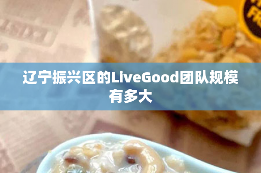 辽宁振兴区的LiveGood团队规模有多大