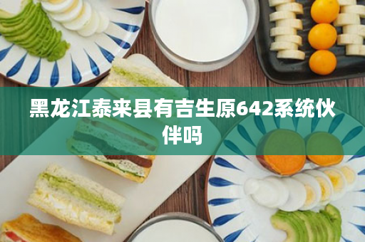 黑龙江泰来县有吉生原642系统伙伴吗