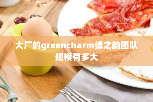 大厂的greencharm绿之韵团队规模有多大