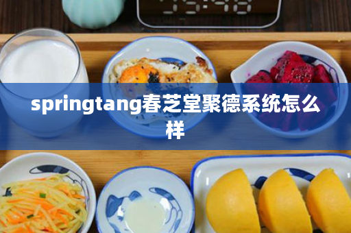 springtang春芝堂聚德系统怎么样