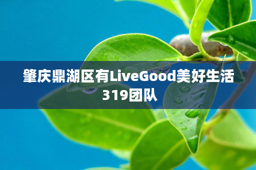 肇庆鼎湖区有LiveGood美好生活 319团队