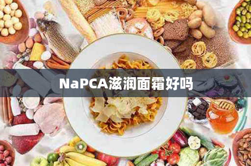 NaPCA滋润面霜好吗