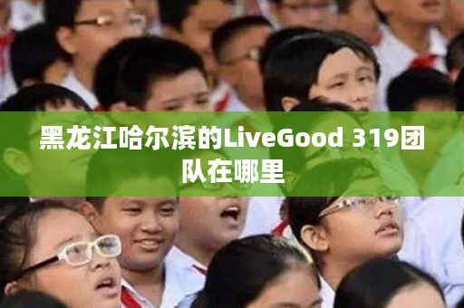 黑龙江哈尔滨的LiveGood 319团队在哪里