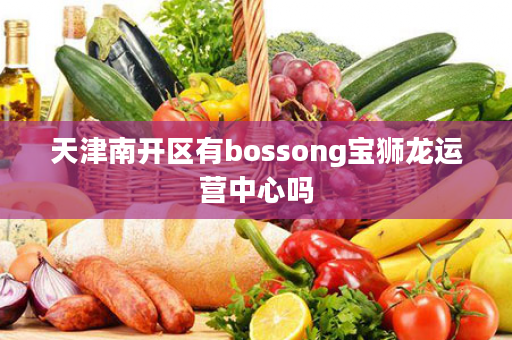 天津南开区有bossong宝狮龙运营中心吗