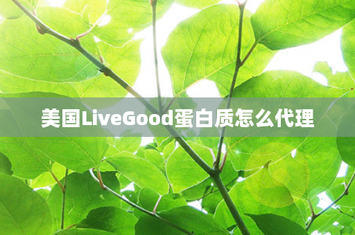 美国LiveGood蛋白质怎么代理