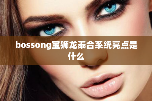 bossong宝狮龙泰合系统亮点是什么