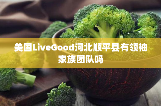 美国LiveGood河北顺平县有领袖家族团队吗