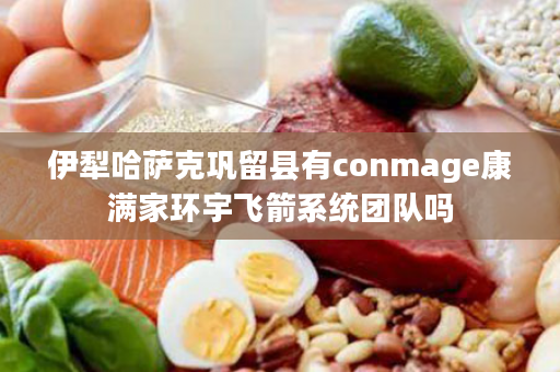 伊犁哈萨克巩留县有conmage康满家环宇飞箭系统团队吗