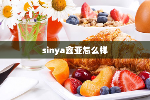 sinya鑫亚怎么样