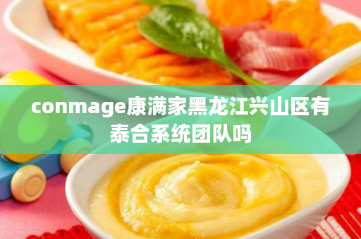 conmage康满家黑龙江兴山区有泰合系统团队吗