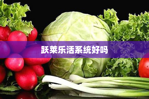 跃莱乐活系统好吗