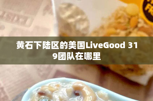 黄石下陆区的美国LiveGood 319团队在哪里