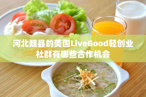 河北魏县的美国LiveGood轻创业社群有哪些合作机会