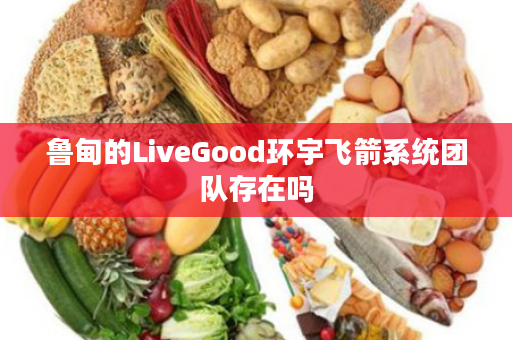 鲁甸的LiveGood环宇飞箭系统团队存在吗