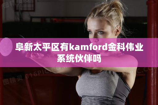 阜新太平区有kamford金科伟业系统伙伴吗