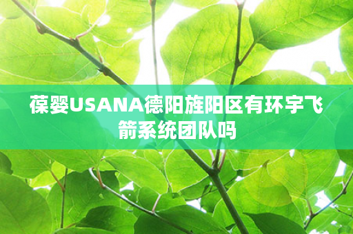 葆婴USANA德阳旌阳区有环宇飞箭系统团队吗