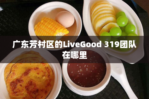 广东芳村区的LiveGood 319团队在哪里