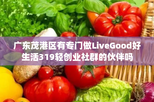 广东茂港区有专门做LiveGood好生活319轻创业社群的伙伴吗