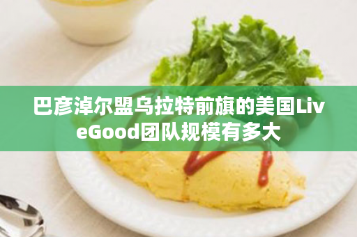 巴彦淖尔盟乌拉特前旗的美国LiveGood团队规模有多大