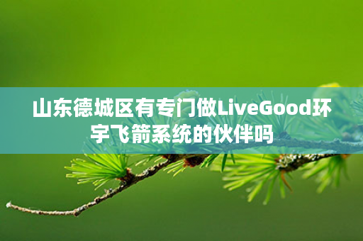 山东德城区有专门做LiveGood环宇飞箭系统的伙伴吗