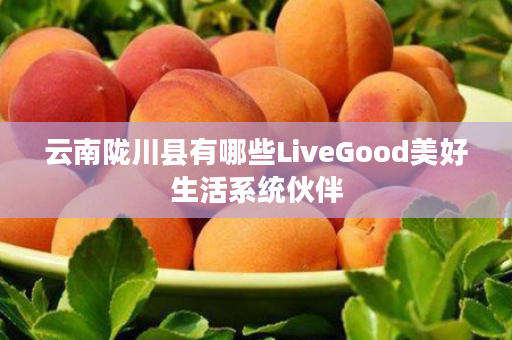 云南陇川县有哪些LiveGood美好生活系统伙伴