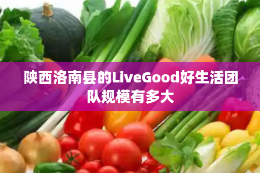 陕西洛南县的LiveGood好生活团队规模有多大