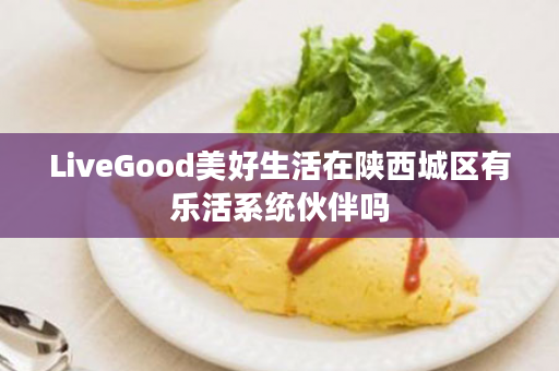 LiveGood美好生活在陕西城区有乐活系统伙伴吗