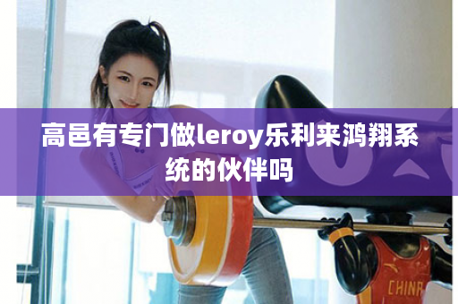 高邑有专门做leroy乐利来鸿翔系统的伙伴吗