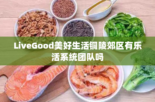 LiveGood美好生活铜陵郊区有乐活系统团队吗