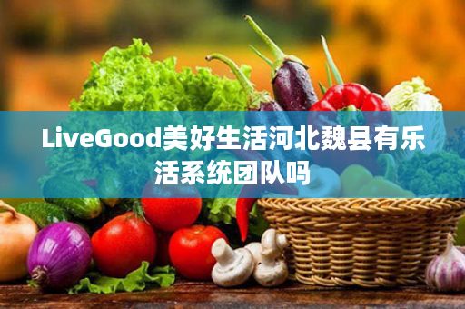 LiveGood美好生活河北魏县有乐活系统团队吗