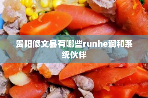 贵阳修文县有哪些runhe润和系统伙伴