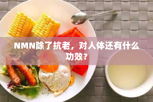 NMN除了抗老，对人体还有什么功效？