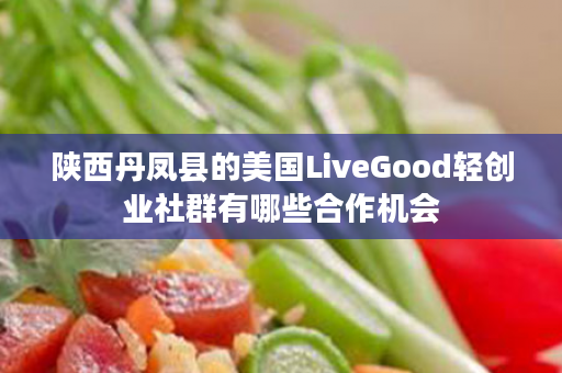 陕西丹凤县的美国LiveGood轻创业社群有哪些合作机会