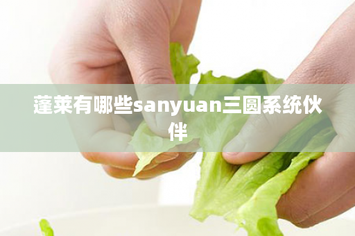 蓬莱有哪些sanyuan三圆系统伙伴